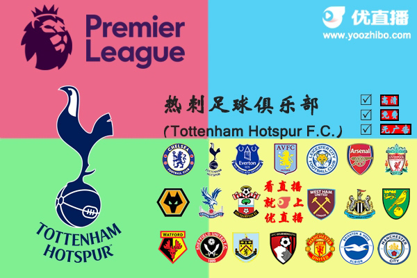 2019-20赛季<a href=/zuqiubs/hotspur/ target=_blank class=infotextkey>热刺</a>阵容名单一览