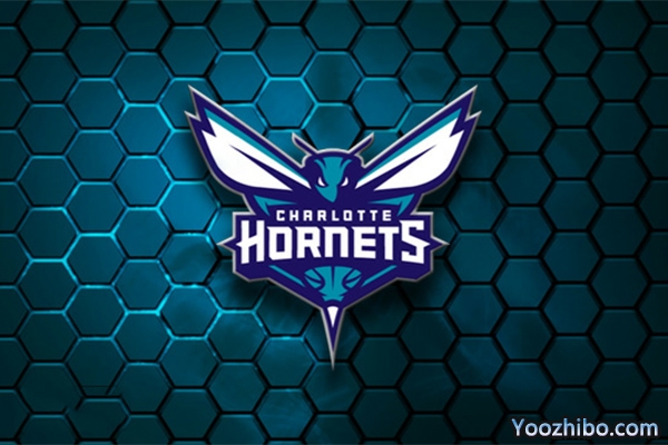 2019-2020赛季<a href=/lanqiubs/hornets/ target=_blank class=infotextkey>黄蜂</a>队队徽